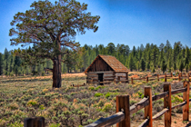 Cabin HDR