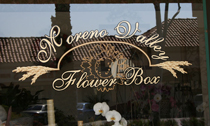 Flower Box